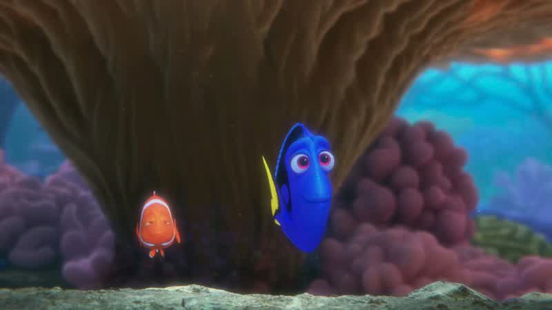 Hey, Marlin