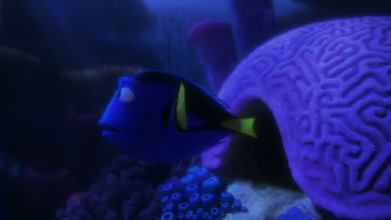 Hey, Marlin?