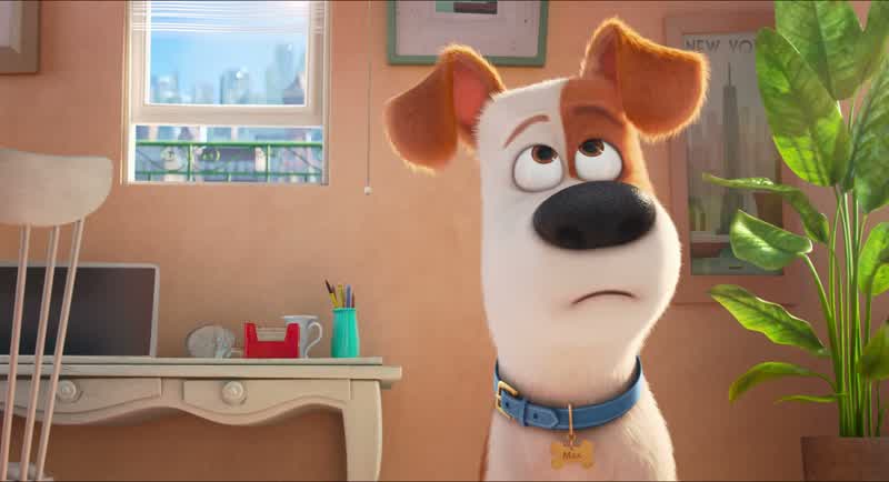 Hey, Max