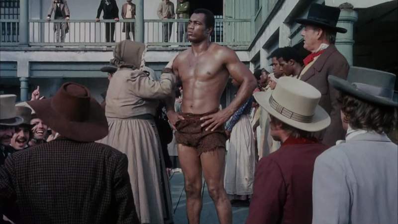 Hey you mean that lady will pleasure with that nigger