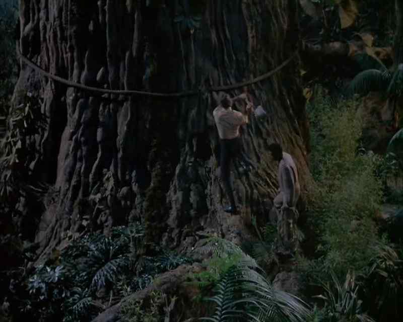 Hey, monkey!