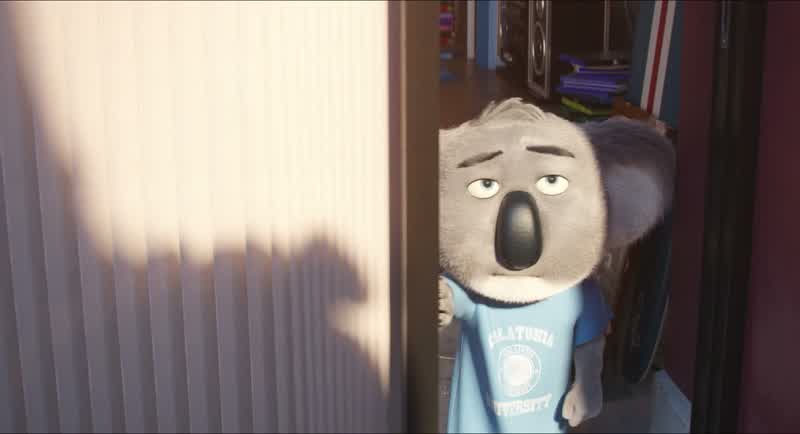 Hey, Mr