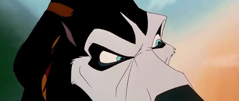 Hey Outta my way lobo