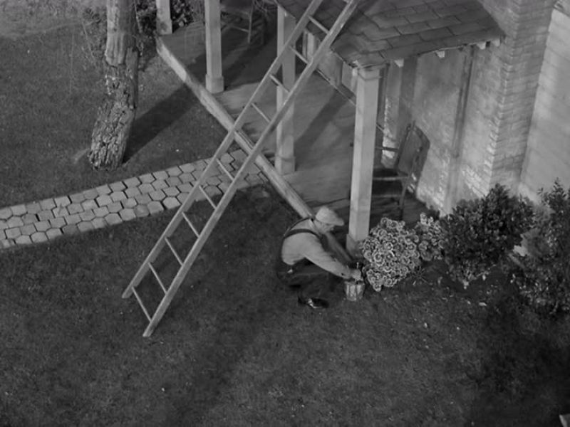 HEY. PSST!