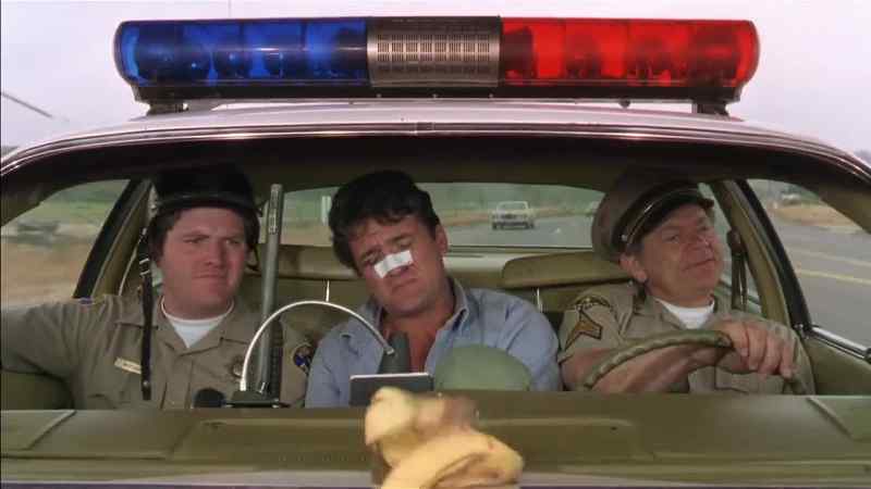 Hey. Pull those guys over! They're littering!