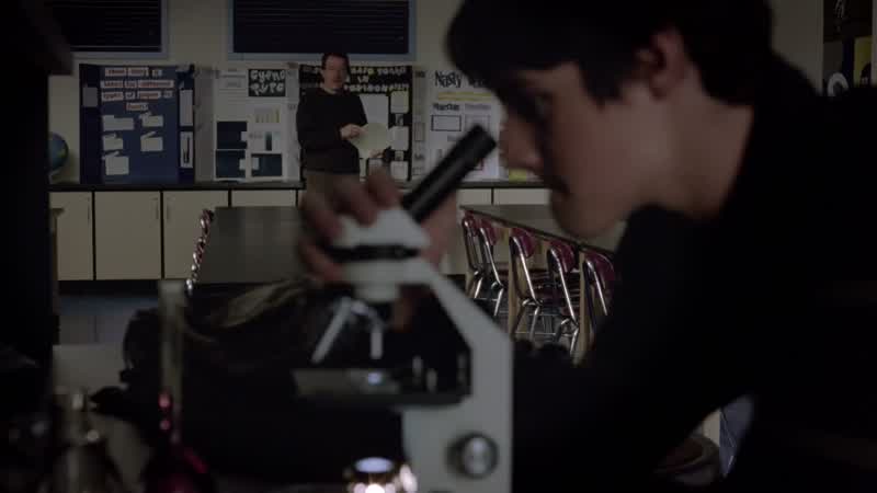 Hey. WALT: You're, uh