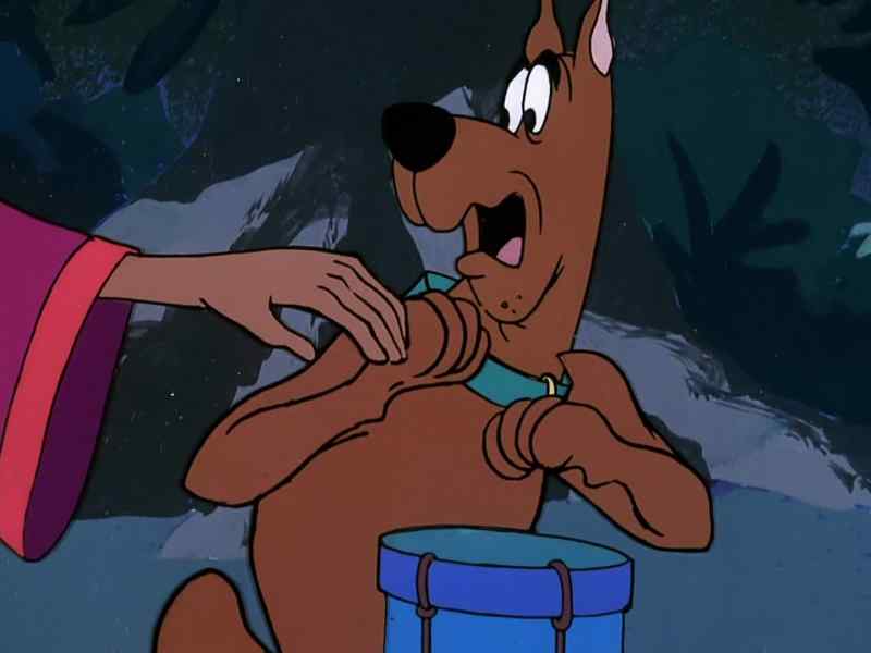 Hey, Scoob. Pick up the beat