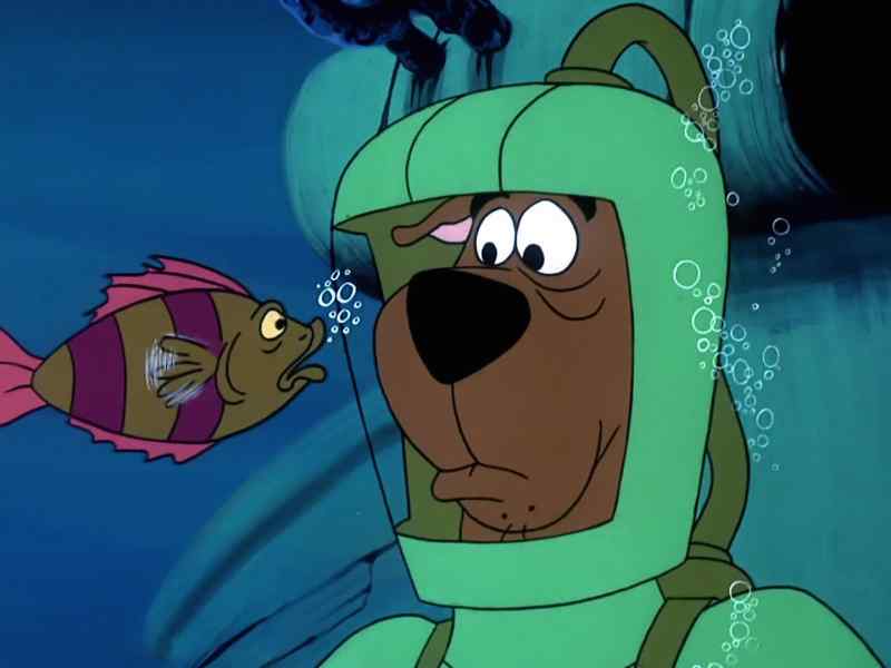 Hey, scram! Shoo! Go!