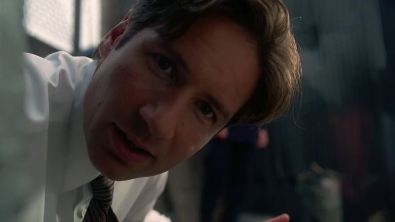 Hey, Scully, look at this