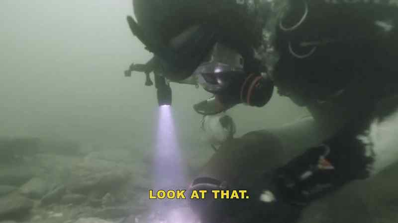 Hey, Steve