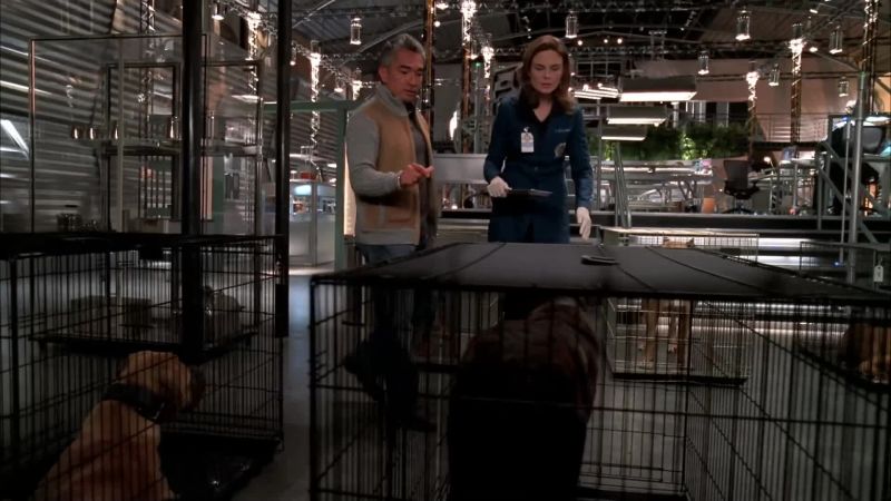 Hey, stop that now. - Could I see your teeth, please?