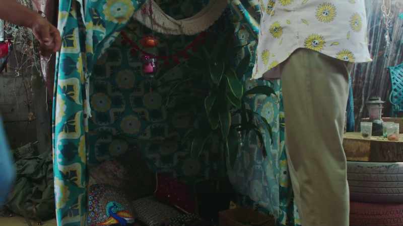 Hey, is that the Dracaena Janet Craig