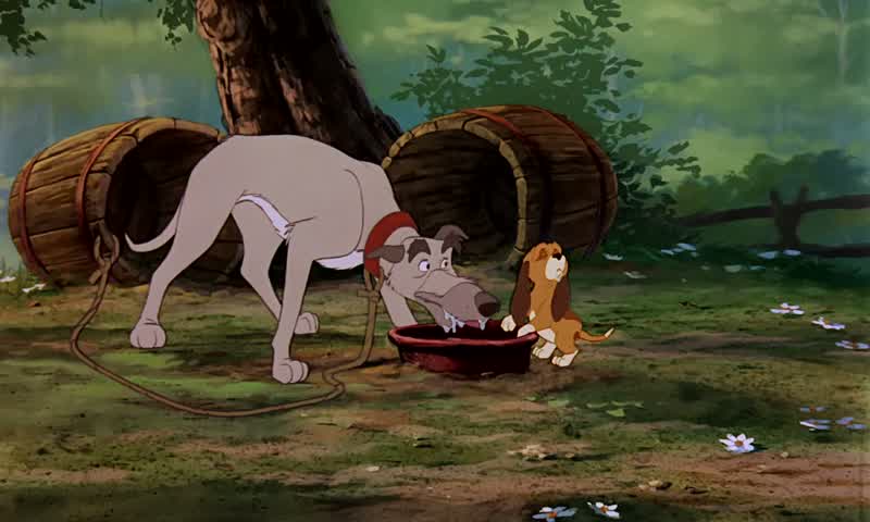 Hey, there, copper, what ya sniffin' at?