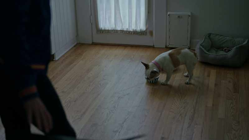 Hey, there...Millie