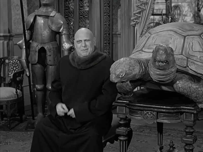 Hey, Thing, how about snapping it up a bit?