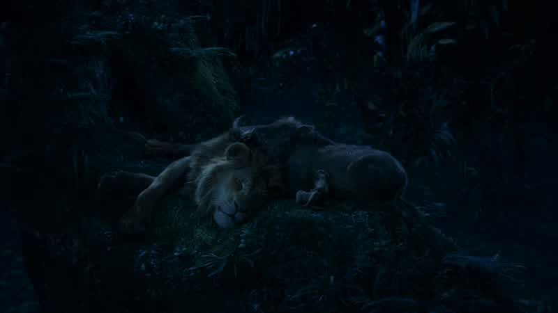 Hey TimonDo you ever look up thereand wonder what those sparkly dots areOh Pumbaa I don't wonder I knowReally What are theyThey're firefliesFireflies that got stuck on that big bluish black thingOhI