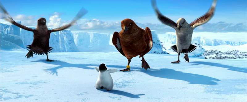 Hey what you doing there flipper bird