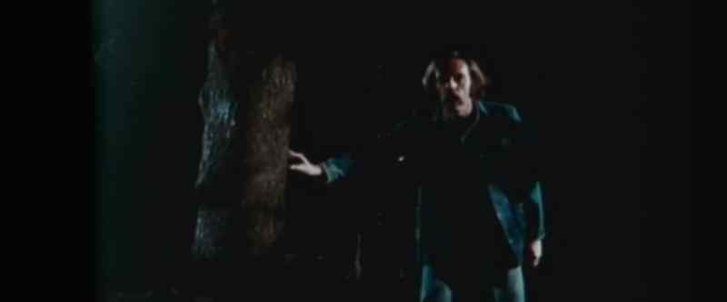 Hey! Who's there?