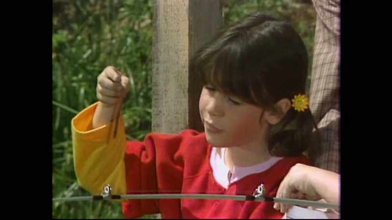 Hey, worm, I don't wanna stab you