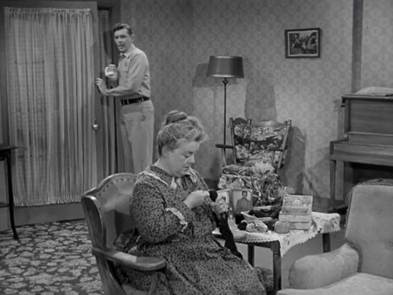 HI, AUNT BEE
