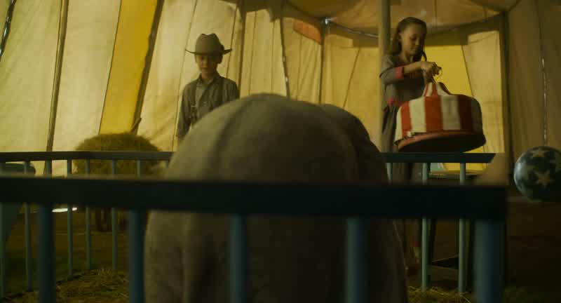 Hi, Baby Jumbo