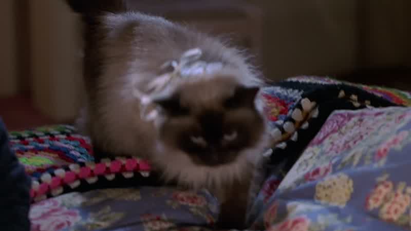 Hi, Jinx… That's a ring