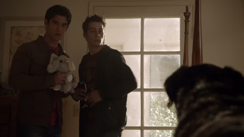 Hi, puppy