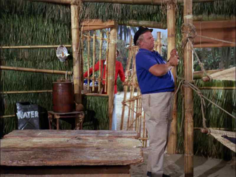 HI, SKIPPER. GUESS WHAT I FOUND DOWN AT THE LAGOON