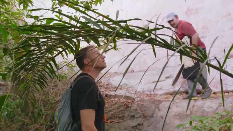 HIDDEN IN THE COLOMBIAN JUNGLE