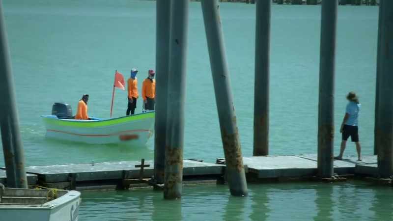 Hiding in plain sight as tour boat operators