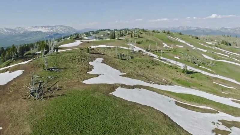 High in the alpine, another top predator is on the rise