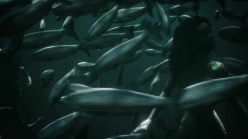 [high-pitched call]