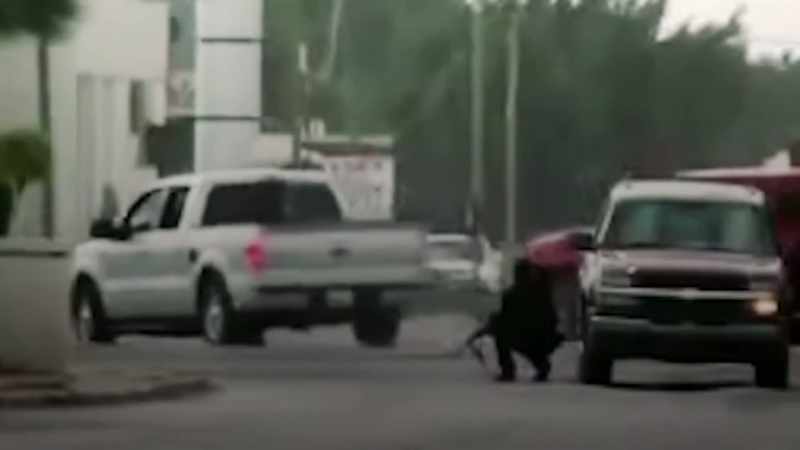 Highly trained. I mean, they're deadly