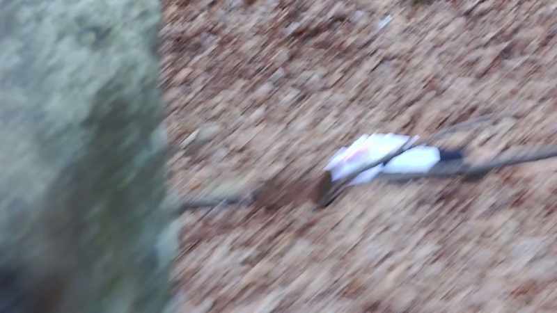 HIKERS HAVE JUST STUMBLED UPON