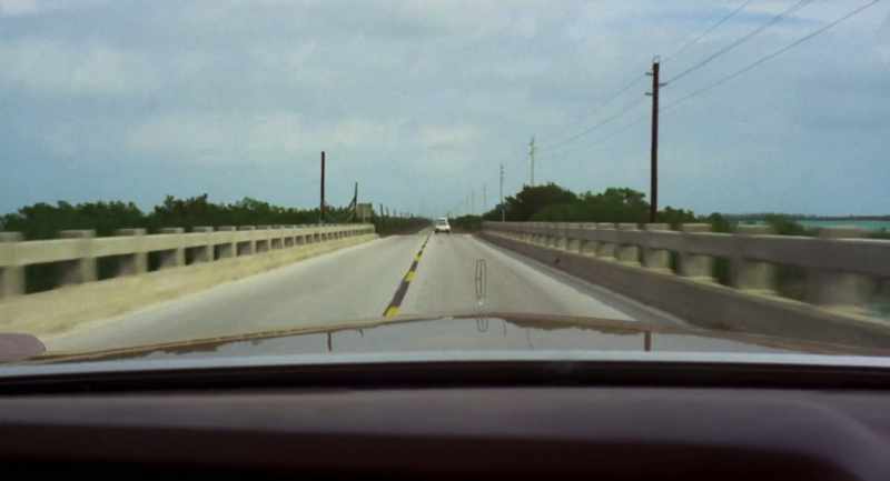 HILLY MICHAELS: We're driving around