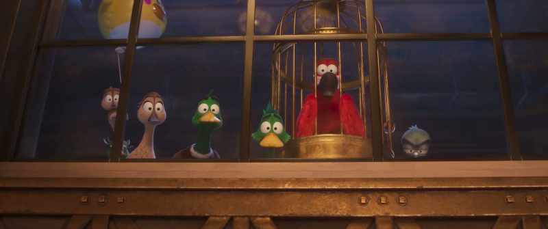 Him catch ya him turn you into duck l'orange