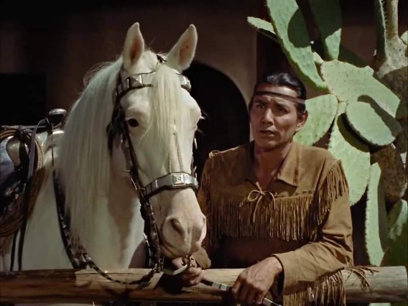 Him not like other horses