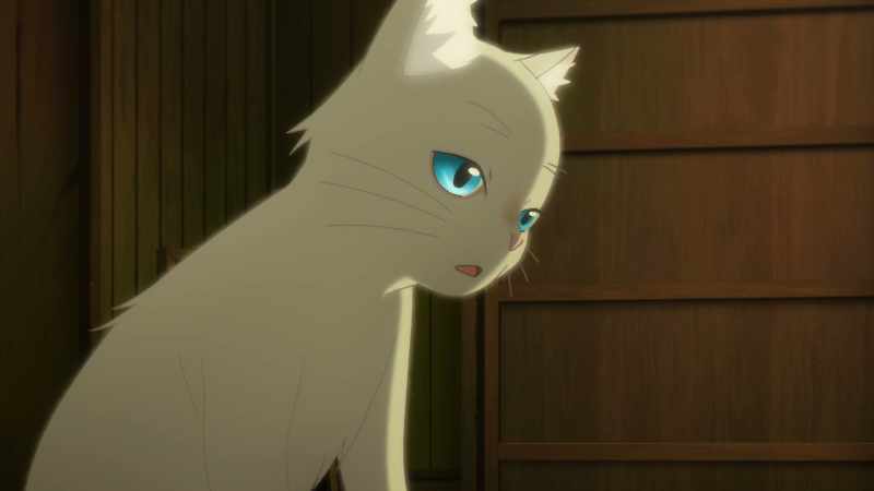 Hinode was looking for me? Why?