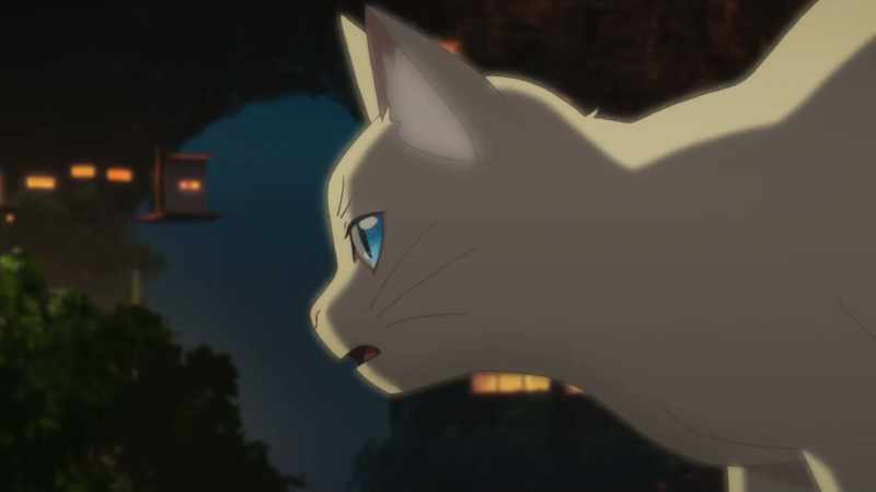 Hinode shouldn't be here! He has to go back!