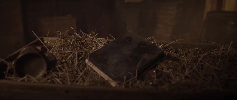 His diary lived on, its trail of destruction resumed