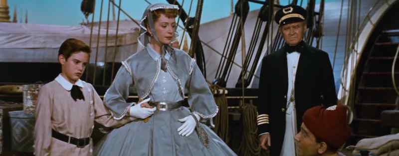 His excellency wishes to know, are you married, sir?