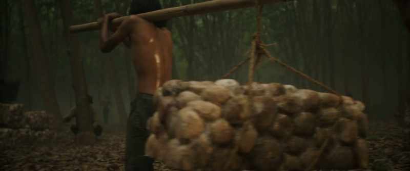 His father owned the largest plantation in Java
