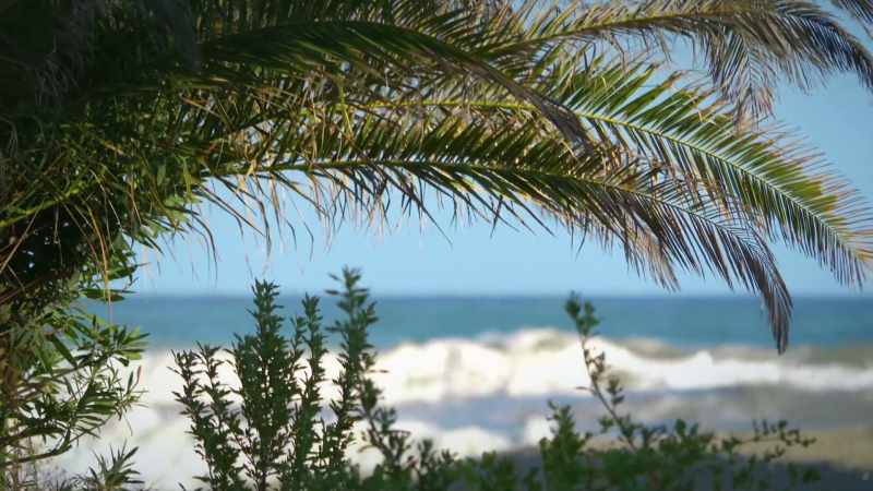 His home was the Clearwater area, Florida