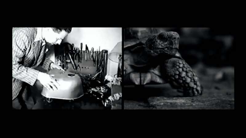 His mechanical tortoise has an electronic brain which functions like the human mind