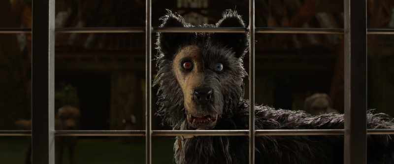 His name was Fuzzball