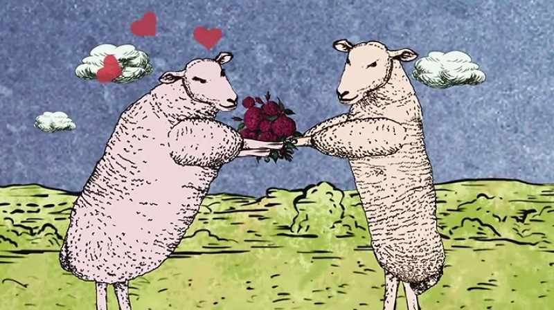 His sheep were going to mate on his terms