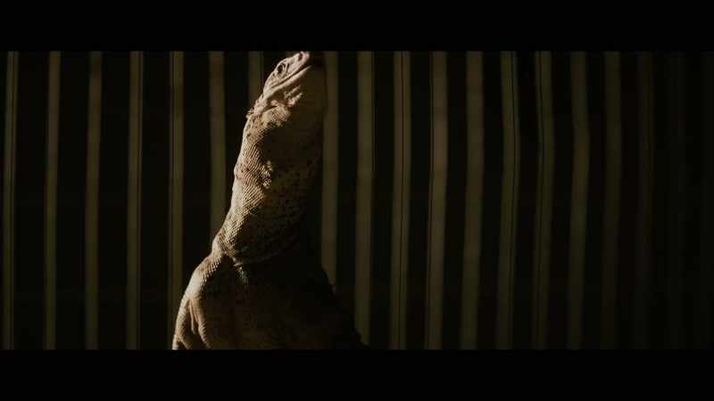 [hissing]