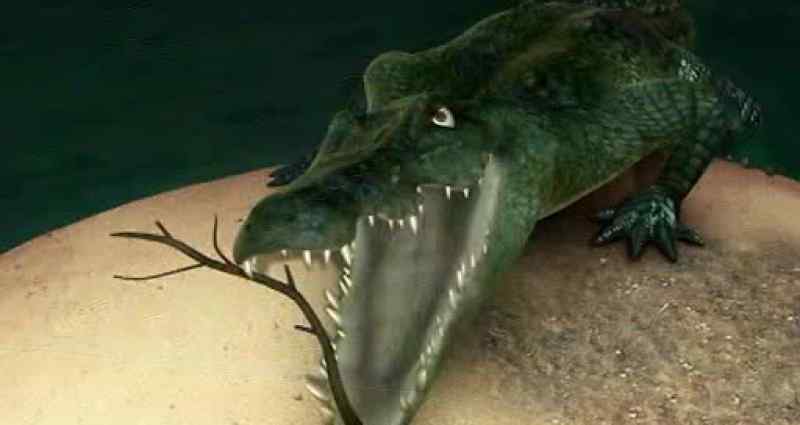 (HISSING)