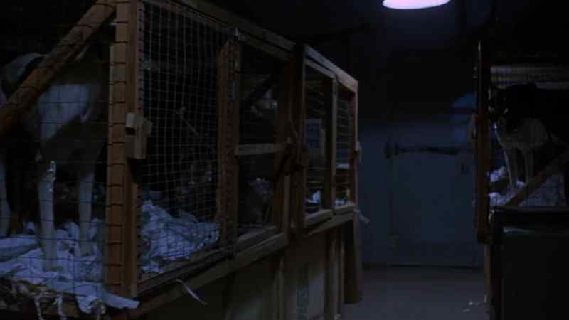 ( Hissing )