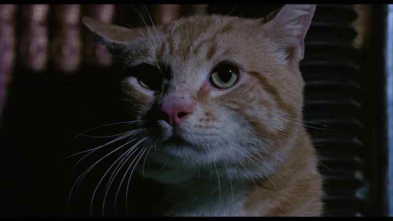 (hissing)
